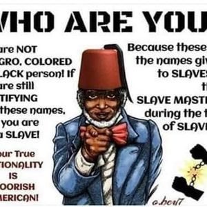 Meet your Posher, Ronald